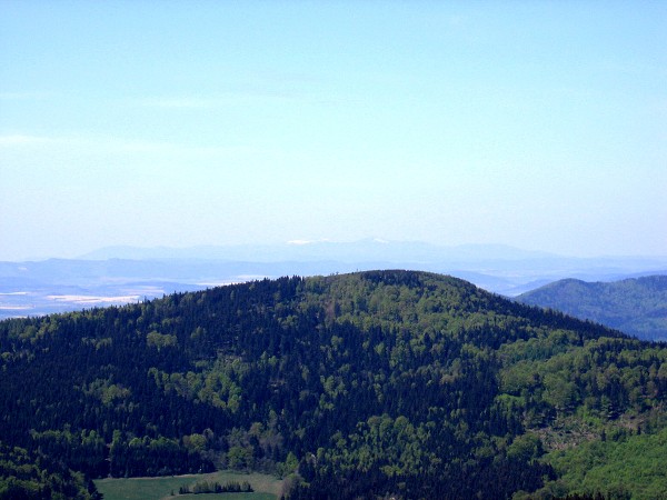 Javornická dělostřelecká garda