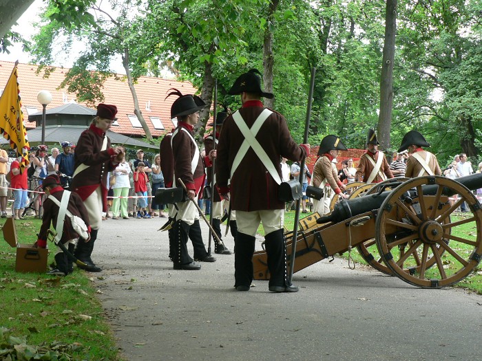 JDG - Obléhání Bratislavy Napoleonem