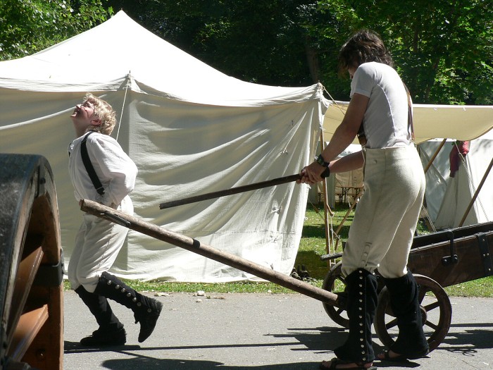 JDG - Obléhání Bratislavy Napoleonem