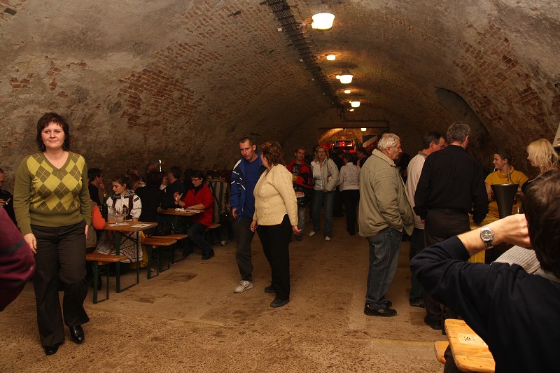 Svatomartinské slavnosti v Bzenci 14.11.2009